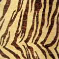 Animal Printed Microfiber Chenille Fabric Suppliers (fth31892)
